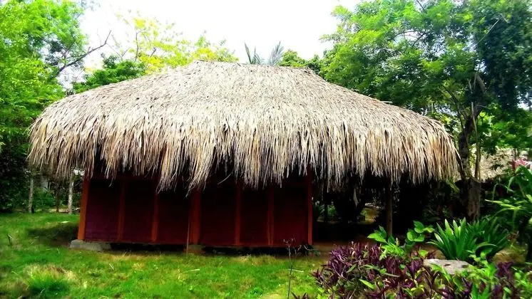 Traditional Kulübe