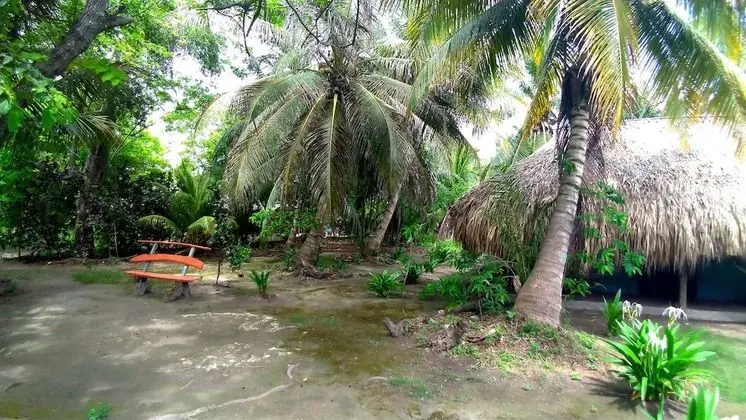 Traditional Kulübe