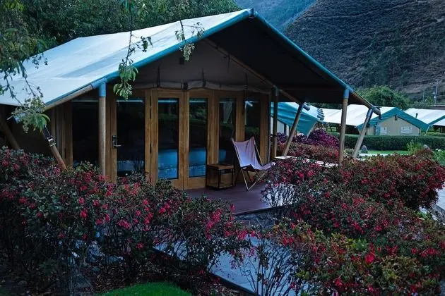 Family Tent / Carpa Familiar