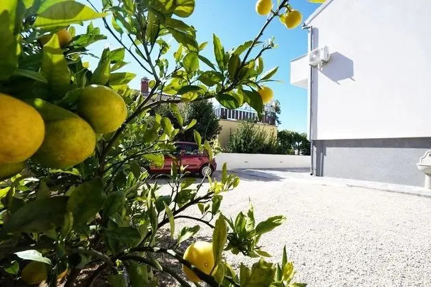 Apart Daire (Lasan - 150 m from sea - A1(4))