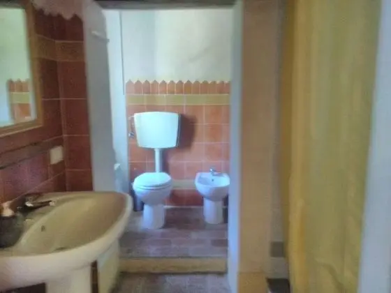 Stüdyo