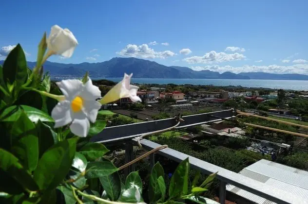 Dört Kişilik Oda, Balkon