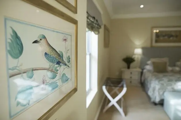 Luxury Süit, 1 En Büyük (King) Boy Yatak