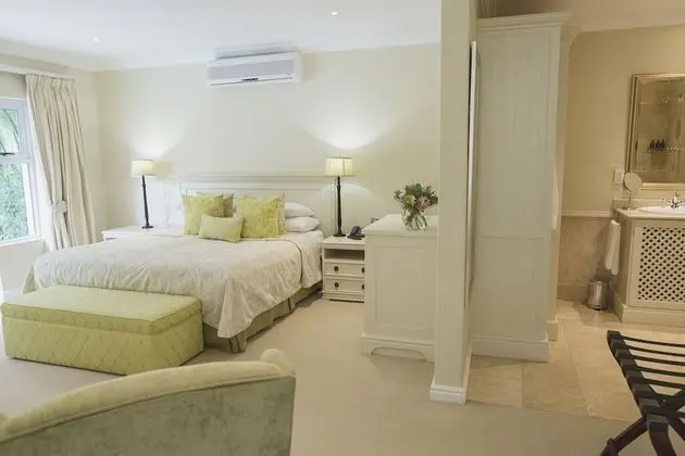 Standard Süit, 1 En Büyük (King) Boy Yatak, Havuz Kenarı