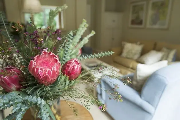 Standard Süit, 1 En Büyük (King) Boy Yatak, Havuz Kenarı