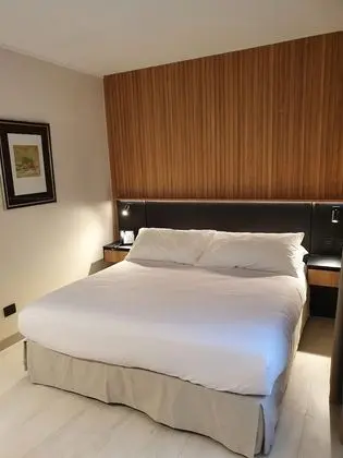Standard Tek Büyük Yataklı Oda, 1 En Büyük (King) Boy Yatak, Sigara İçilmez