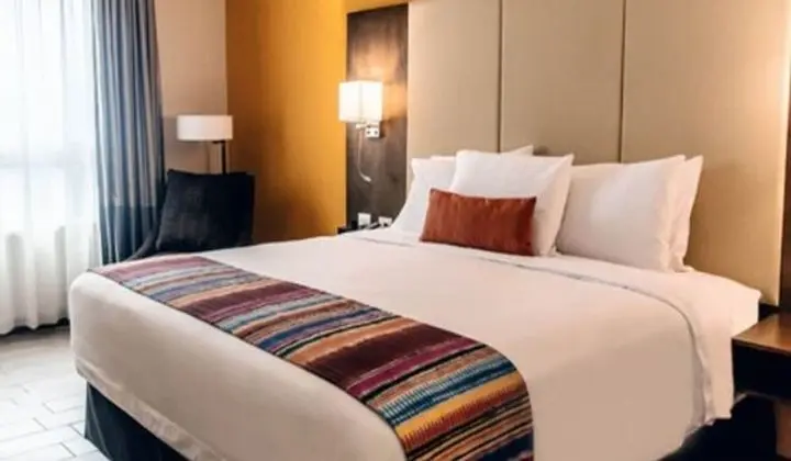 Deluxe Tek Büyük Yataklı Oda, 1 En Büyük (King) Boy Yatak, Şehir Manzaralı