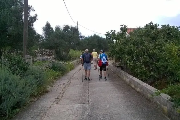 Ev, Birden Çok Yatak