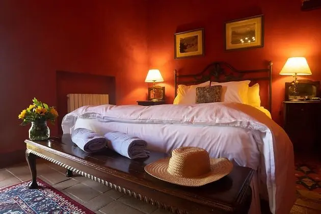 Superior Tek Büyük Yataklı Oda