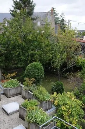 Premium Tek Büyük veya İki Ayrı Yataklı Oda, Özel Banyo