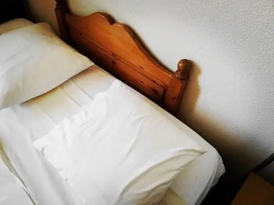 Tek Büyük veya İki Ayrı Yataklı Oda, Özel Banyo, Dağ Manzaralı (hôtel 2 étoiles)