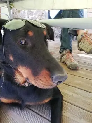 Tek Büyük Yataklı Oda, Özel Banyo, Dağ Manzaralı (hôtel 2 étoiles)