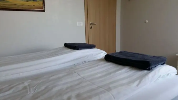 Tek Büyük veya İki Ayrı Yataklı Oda, Ortak Banyo (102)