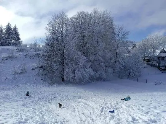 Ev (Laura - wooden house - H(4+2))