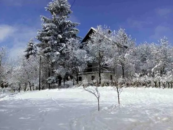 Ev (Laura - wooden house - H(4+2))