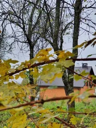 Ev (Laura - wooden house - H(4+2))