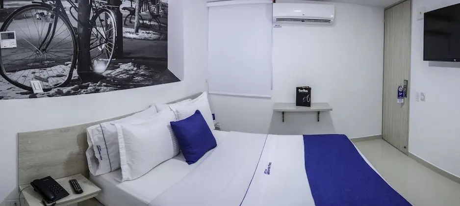 Standard Tek Büyük Yataklı Oda, 1 Çift Kişilik Yatak, Banyolu/Duşlu