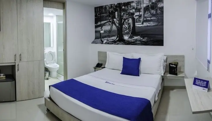 Standard Tek Büyük Yataklı Oda, 1 Çift Kişilik Yatak, Banyolu/Duşlu