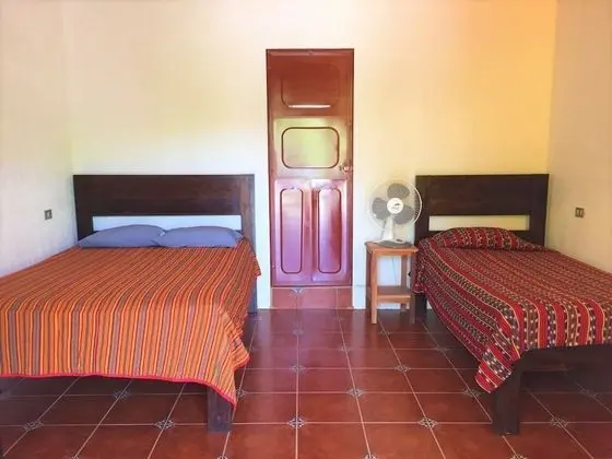 Basic Ortak Ranzalı Oda, Vadi Manzaralı