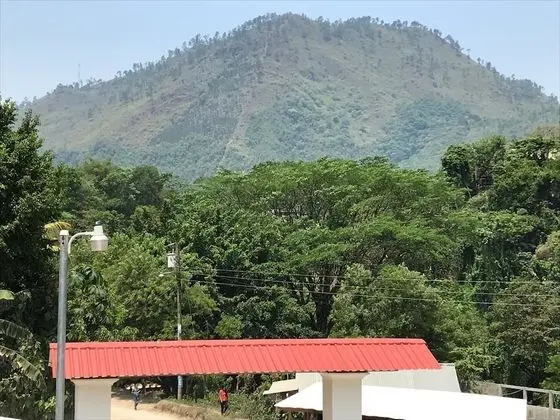 Basic Ortak Ranzalı Oda, Vadi Manzaralı