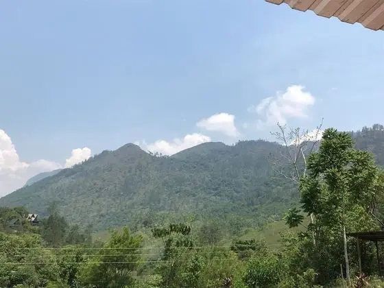 Basic Ortak Ranzalı Oda, Vadi Manzaralı