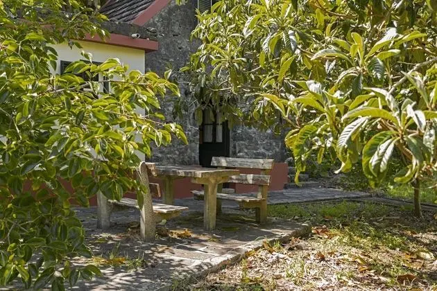 Basic Kır Evi, Birden Çok Yatak