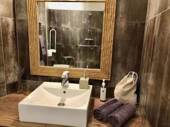 Standard Tek Büyük Yataklı Oda, Engellilere Uygun, Özel Banyo (Mobilité Réduite)