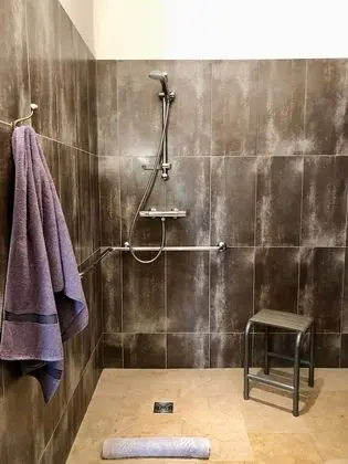 Standard Tek Büyük Yataklı Oda, Engellilere Uygun, Özel Banyo (Mobilité Réduite)