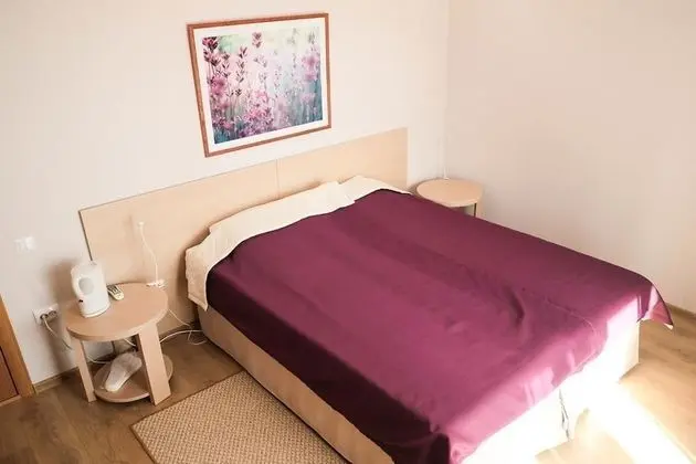 Tek Büyük veya İki Ayrı Yataklı Oda, Balkon