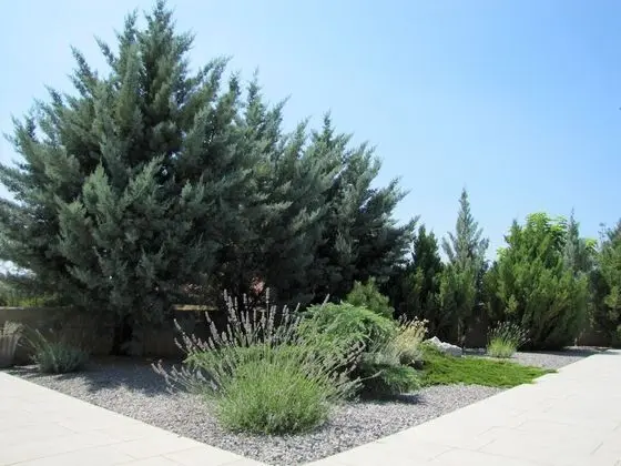 Ev, Birden Çok Yatak