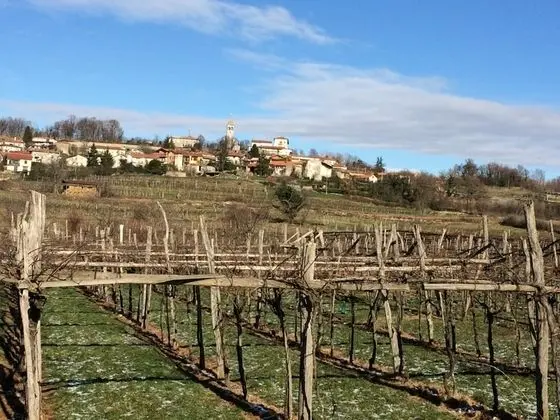 Ev, Birden Çok Yatak