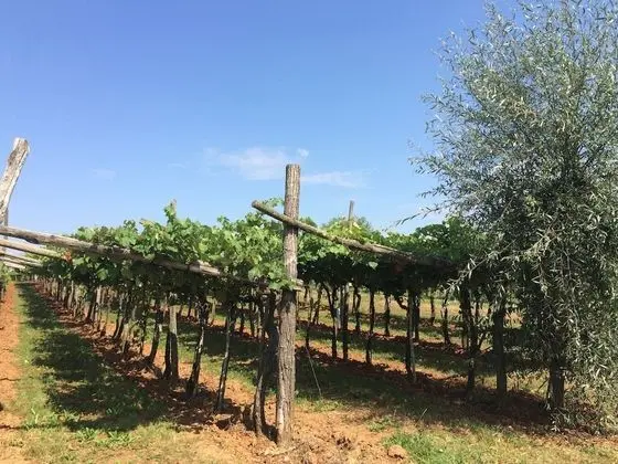 Ev, Birden Çok Yatak