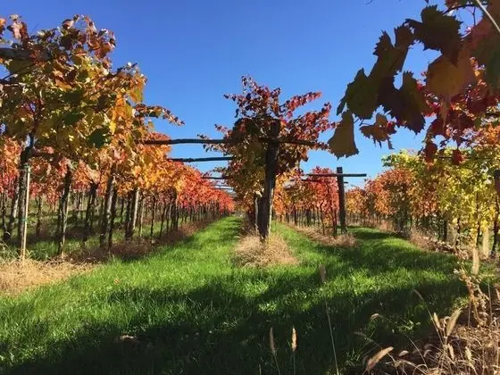 Ev, Birden Çok Yatak