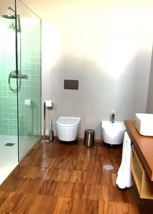 Superior Tek Büyük veya İki Ayrı Yataklı Oda, Üzüm Asması Manzaralı