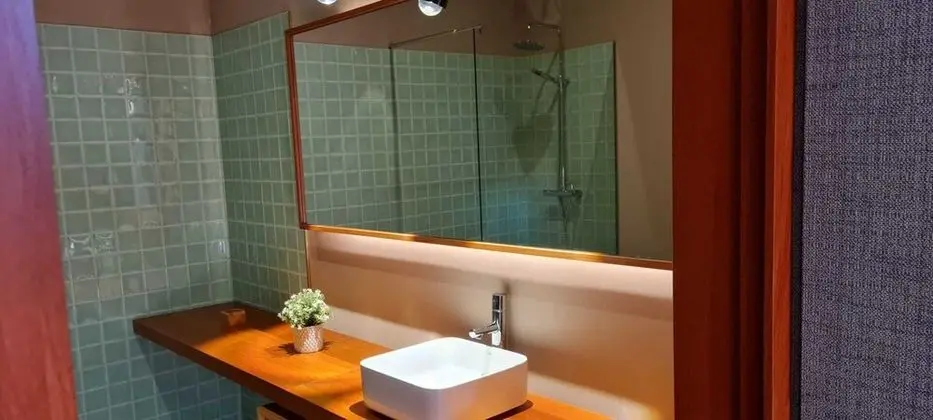 Superior Tek Büyük veya İki Ayrı Yataklı Oda, Üzüm Asması Manzaralı
