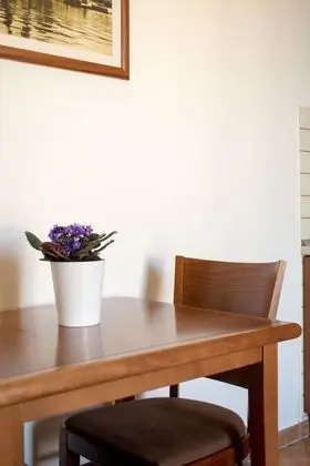 Stüdyo, Teras, Deniz Manzaralı