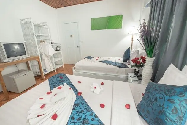 Superior Oda, 1 Çift Kişilik Yatak, Şehir Manzaralı
