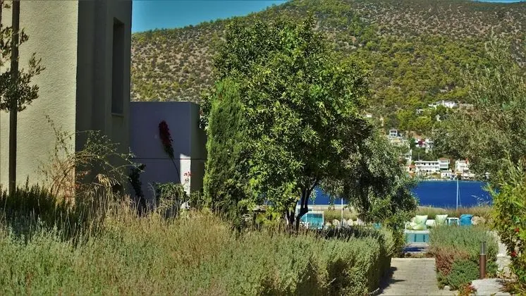 Apart Daire, Havuz Manzaralı
