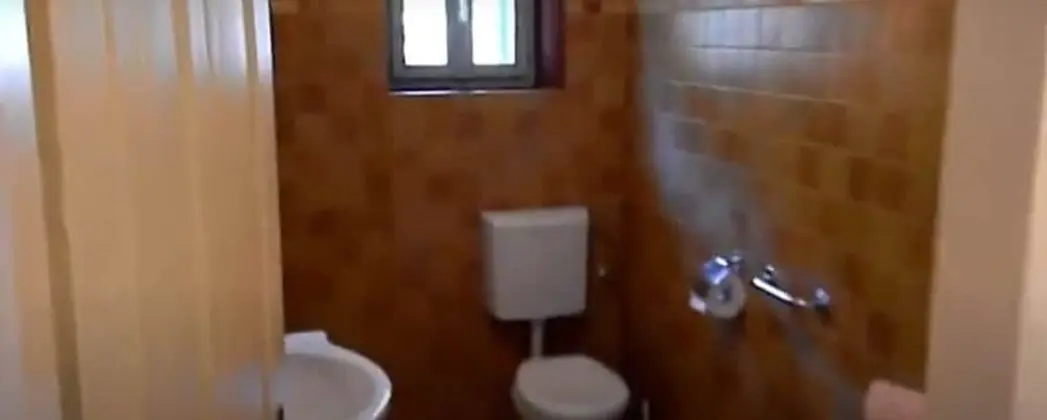 Ev (Lavender - traditional tranquility - )