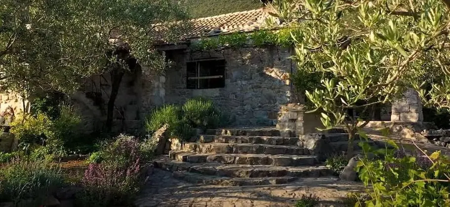 Ev (Lavender - traditional tranquility - )