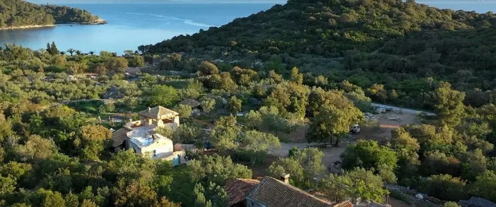 Ev (Lavender - traditional tranquility - )