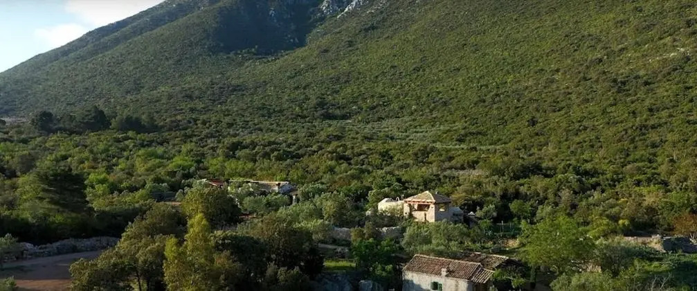 Ev (Lavender - traditional tranquility - )