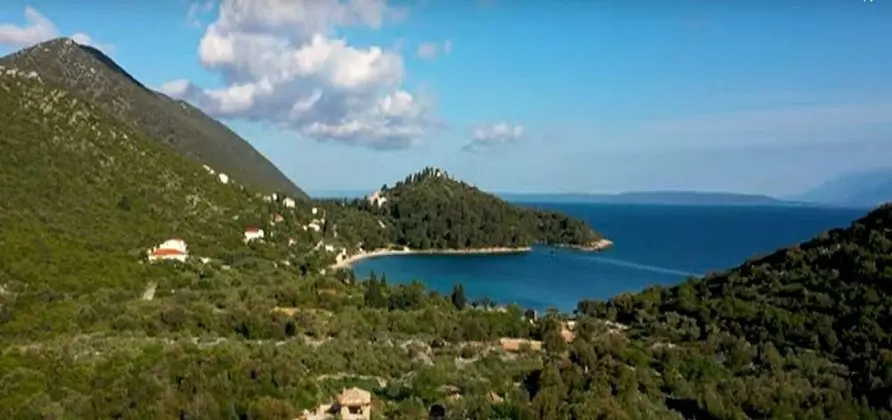 Ev (Lavender - traditional tranquility - )