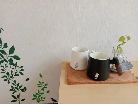 Standard Tek Büyük Yataklı Oda, Özel Banyo