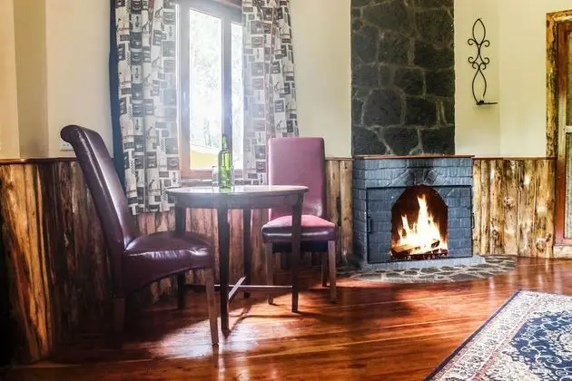 Executive Tek Büyük Yataklı Oda