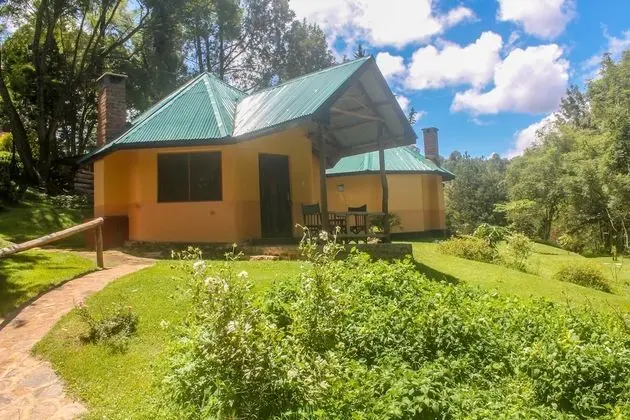 Executive Tek Büyük Yataklı Oda