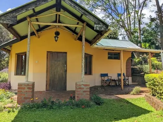 Executive Tek Büyük Yataklı Oda