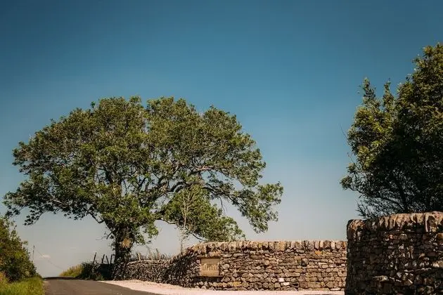 Traditional Kır Evi, Özel Banyo (The Farmhouse)