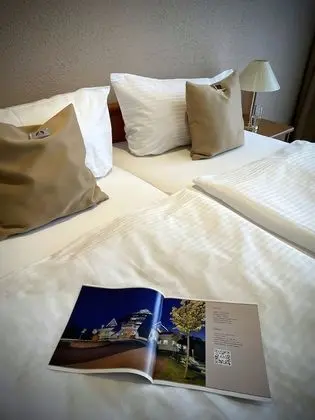 Superior Tek Büyük veya İki Ayrı Yataklı Oda, Balkon