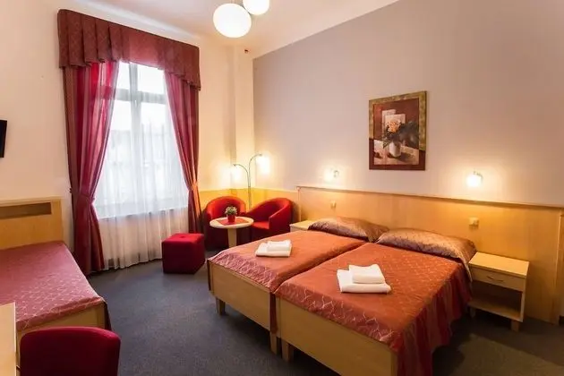 Deluxe Tek Büyük veya İki Ayrı Yataklı Oda